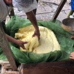 Em Tabatinga, Idam capacita agricultores familiares que atuam na mandiocultura